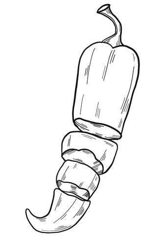 Chili Pepper Coloring Page